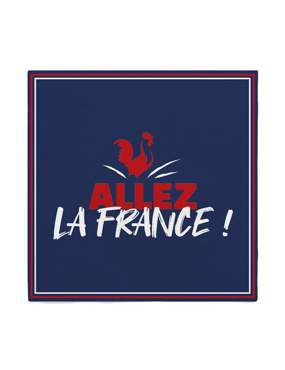 10 Serviettes en papier Allez la France