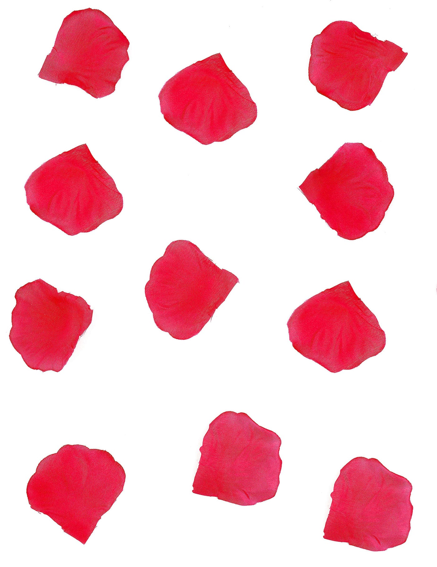 288 Pétales rouges