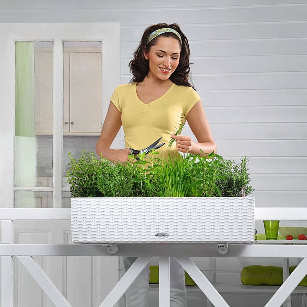 Lechuza Plantenbak Balconera Cottage 80 All-In-One