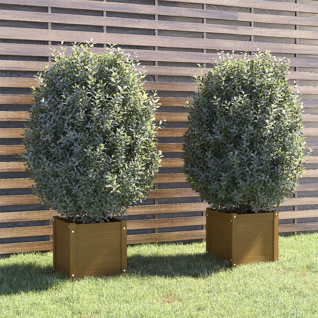 Plantenbakken 40X40X40 Cm Massief Grenenhout