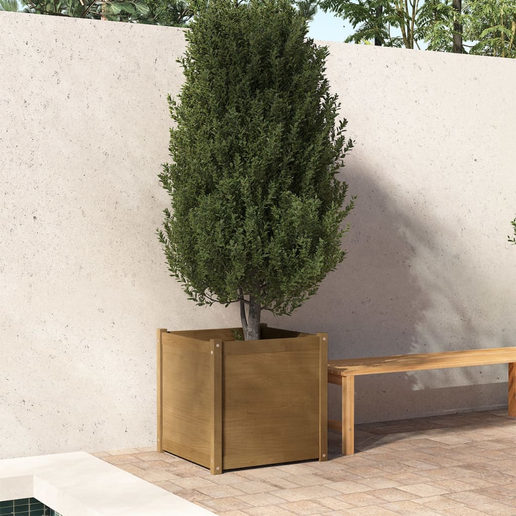 Plantenbak 60X60X60 Cm Massief Grenenhout