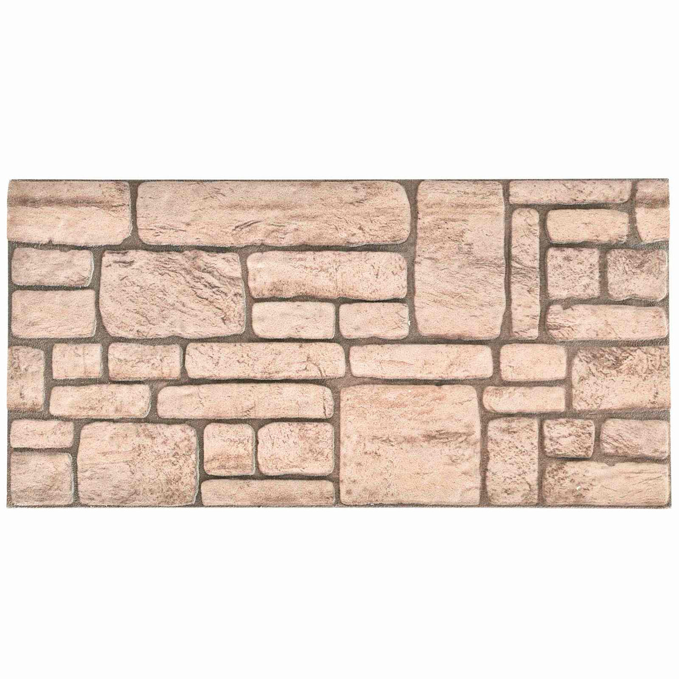 vidaXL Panneaux muraux 10 pcs Beige 100 x 50 cm Mousse EPS