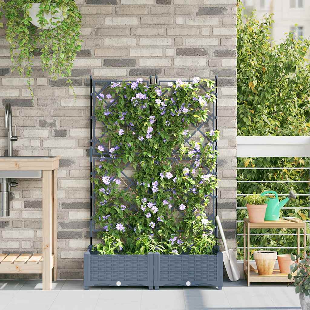 Tuin Plantpot 2 St Pp