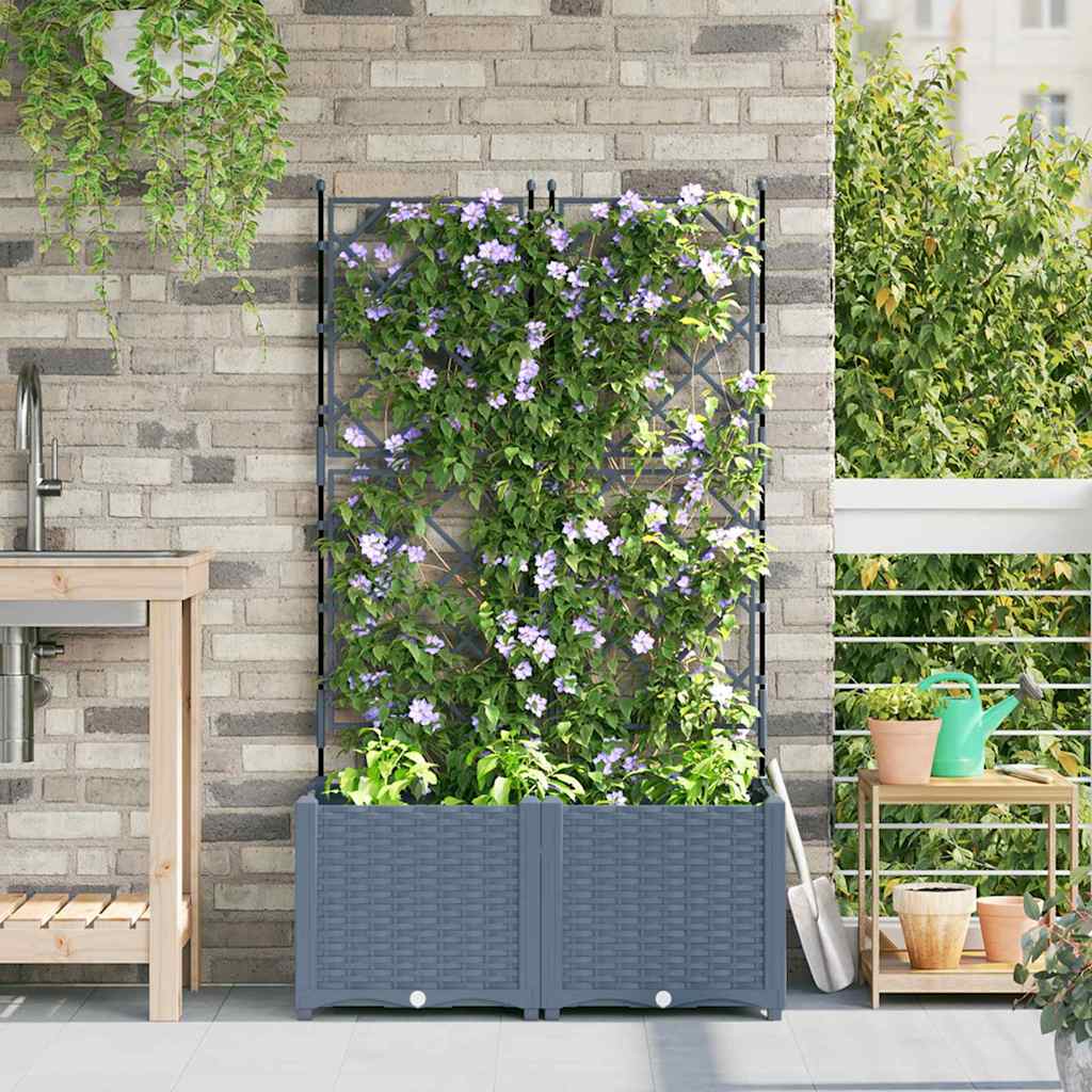Tuin Plantpot 2 St Pp