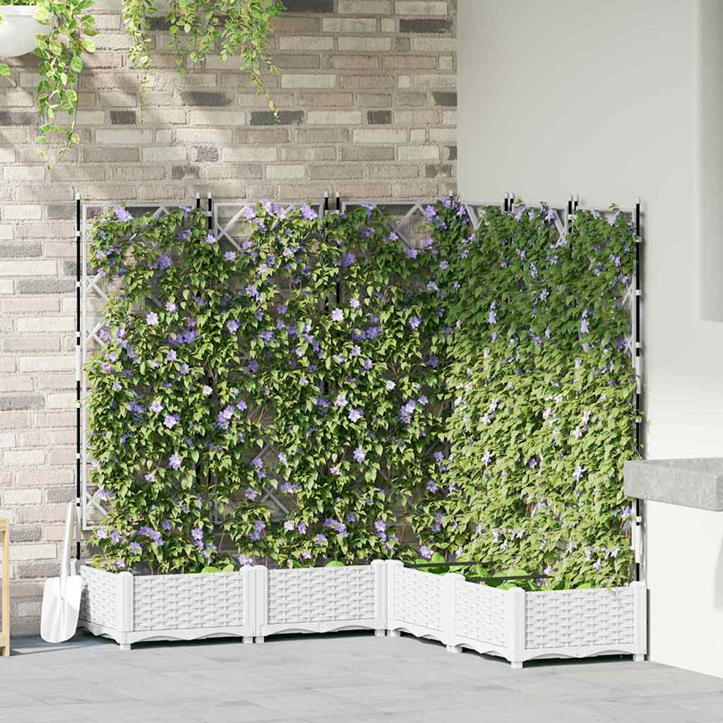 Tuin Plantpot 5 St Pp