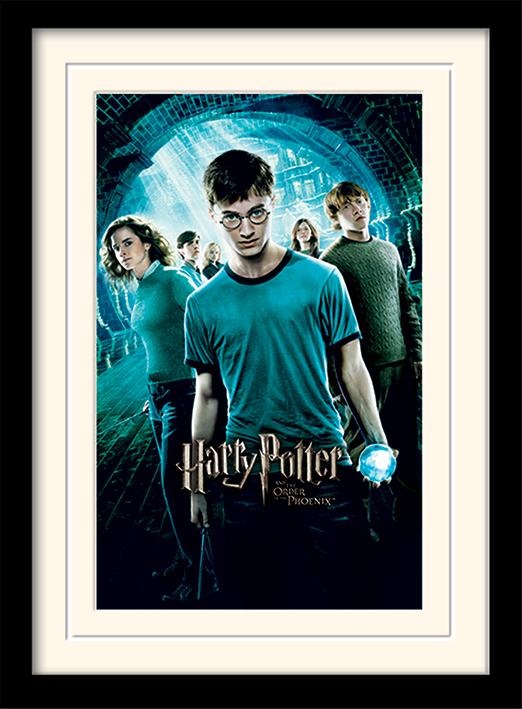 HARRY POTTER - Mounted & Framed 30X40 Print - Order of The Phoenix