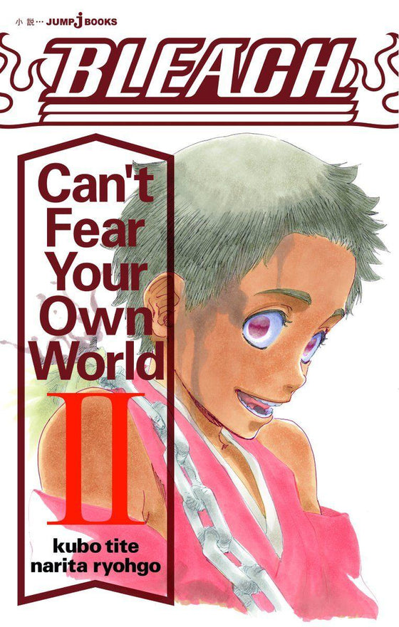 BLEACH - Can't Fear Your Own World - Roman - Tome 2