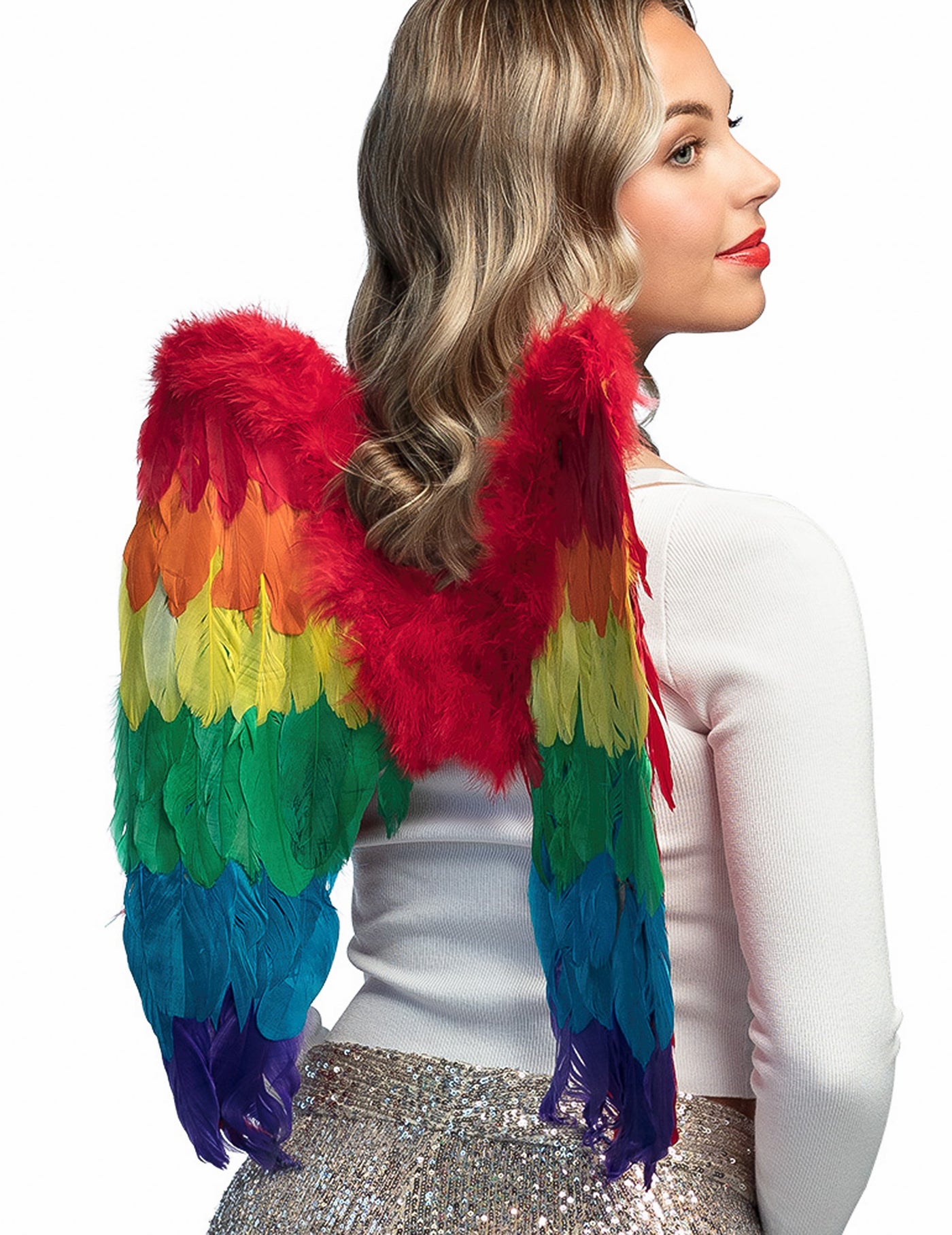 Ailes multicolores 50 x 50 cm adulte