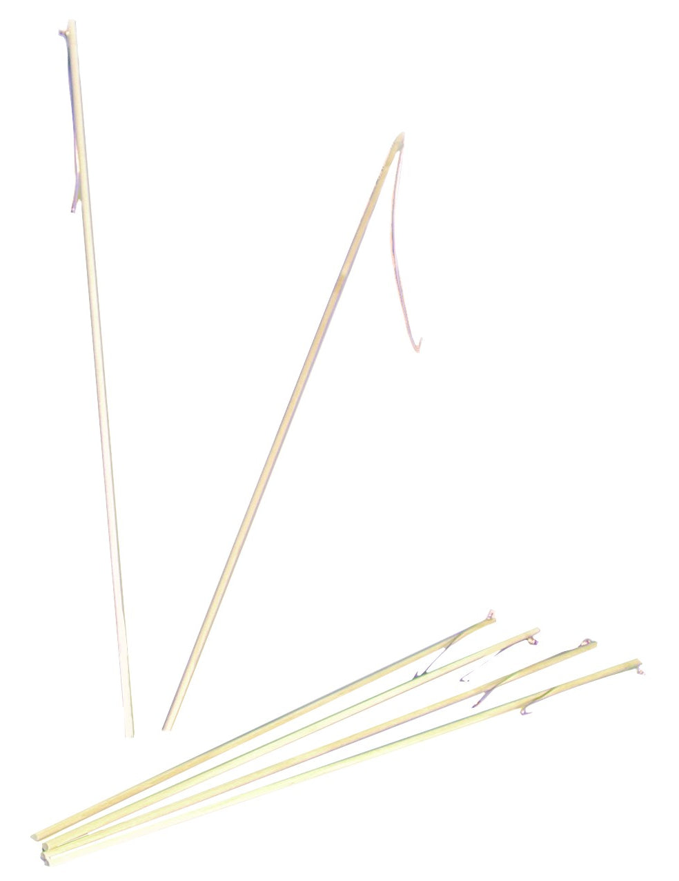 Baton lanterne