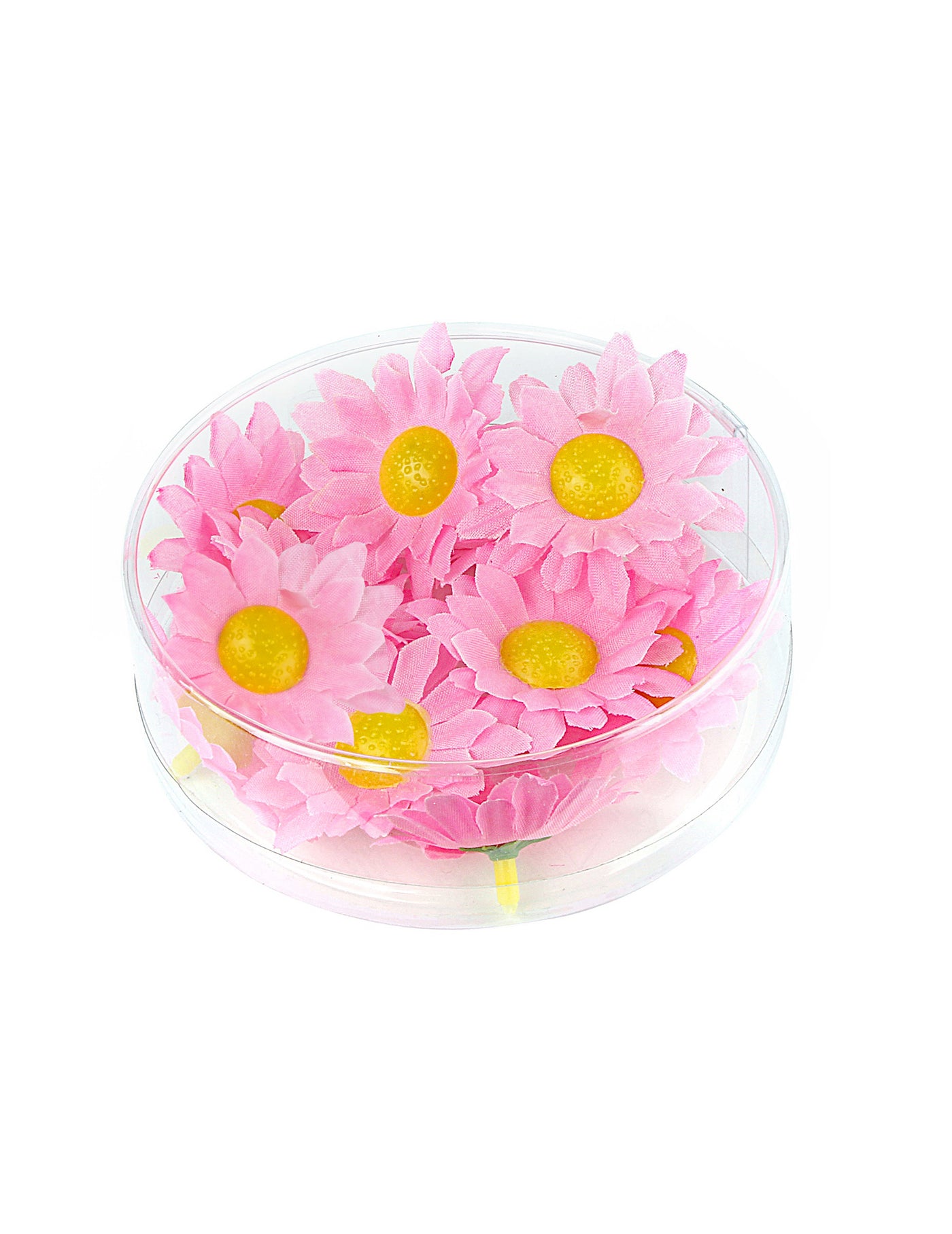 Boite de 20 fleurs marguerite rose clair