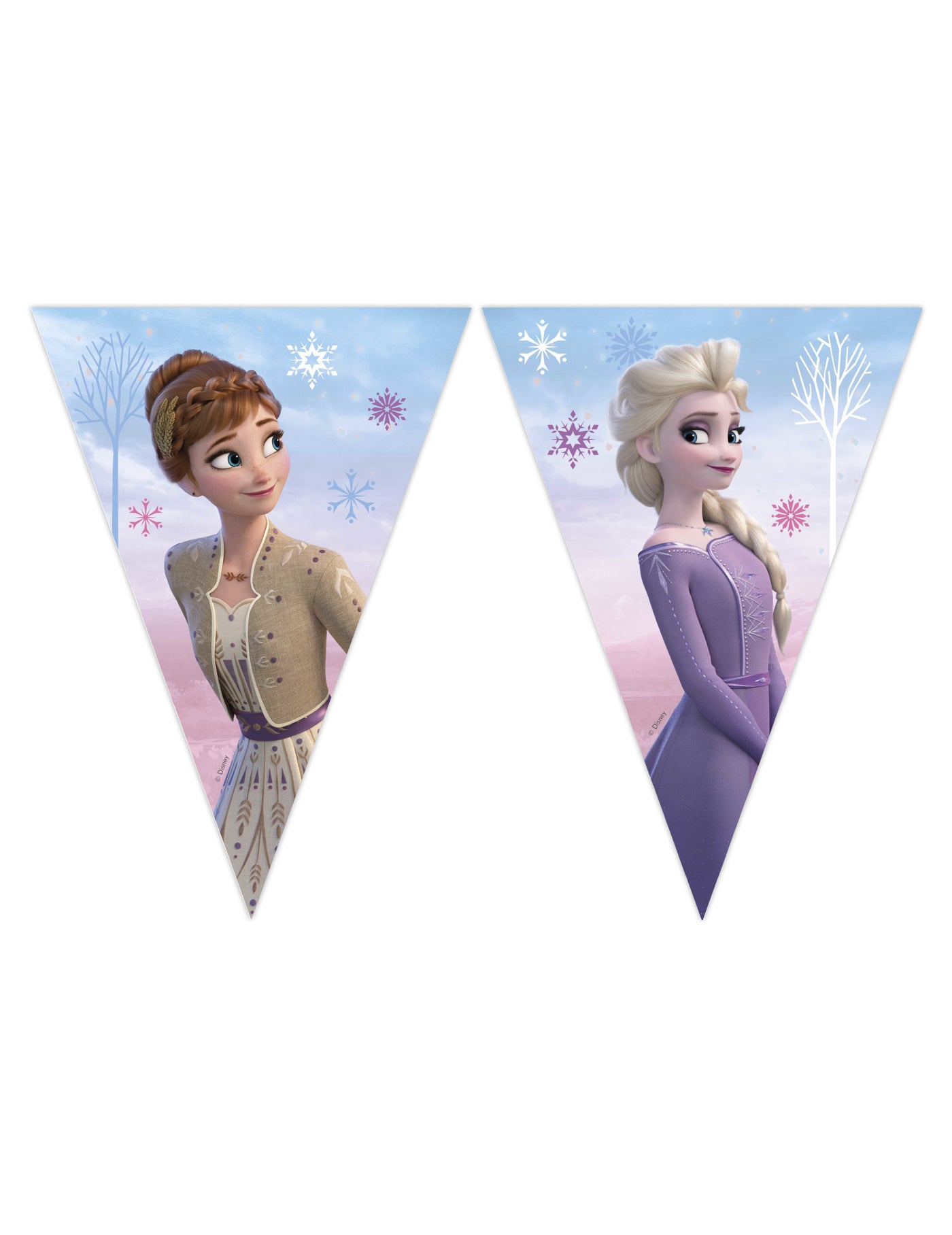 Guirlande fanions en papier La Reine des Neiges 2,3 m