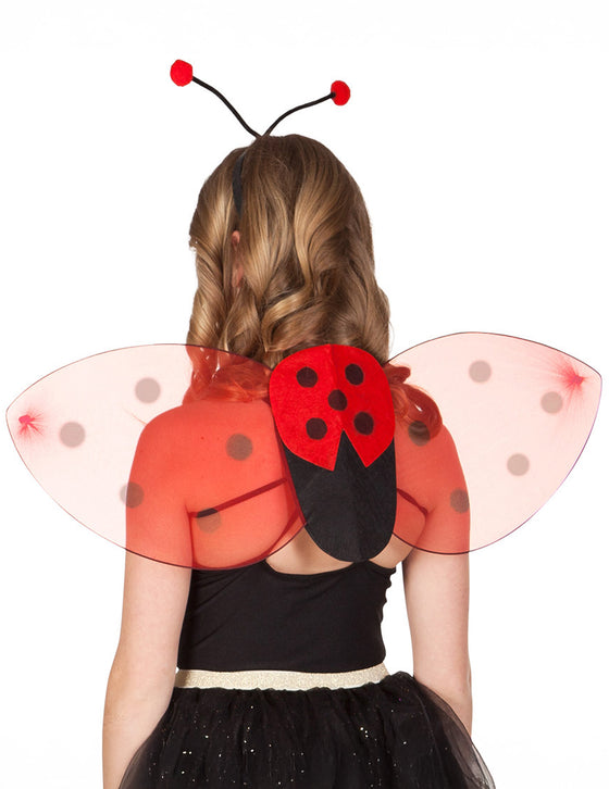 Kit ailes et serre-tête coccinelle enfant