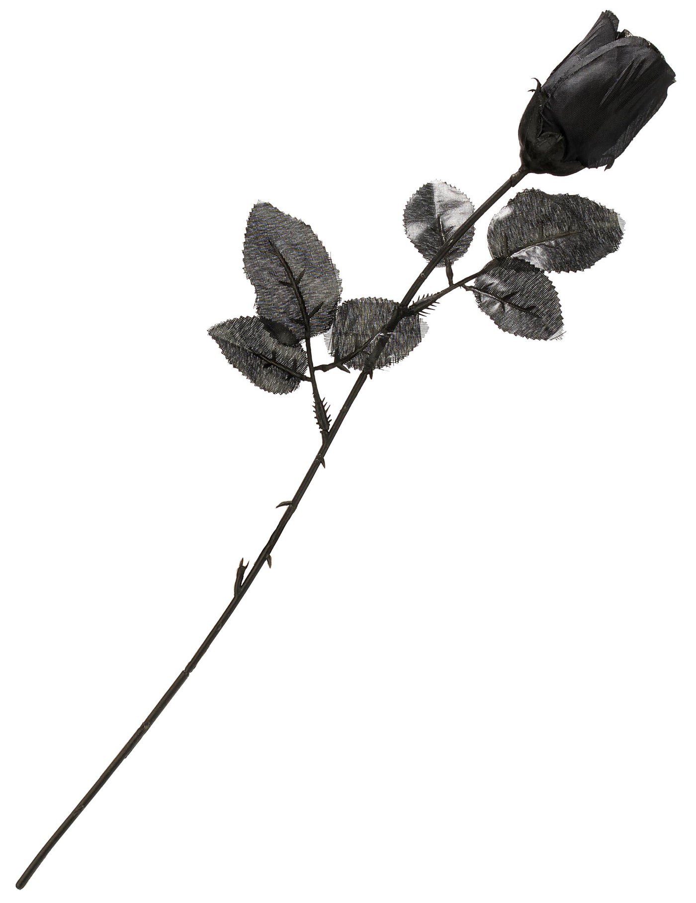 Rose noire