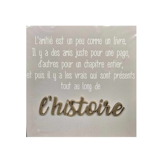 Cadre relief 20/20 " L'amitié est un peu comme un livre ...  qui sont présents tout au long de l'histoire