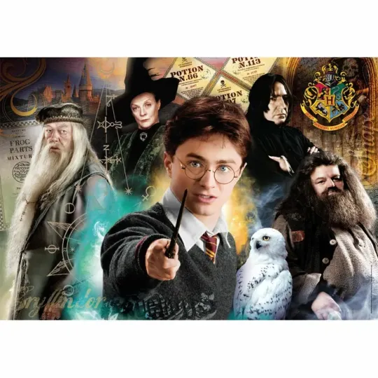 HARRY POTTER - Harry - Puzzle 500P