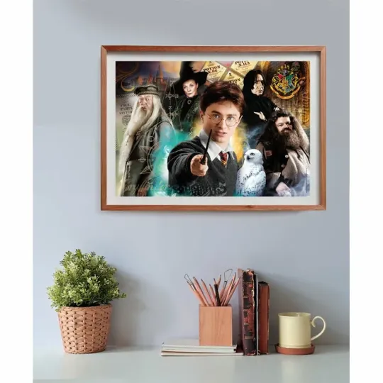 HARRY POTTER - Harry - Puzzle 500P