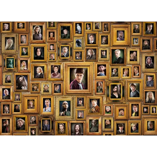 HARRY POTTER - Impossible Portraits - Puzzle 1000P