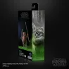 LE RETOUR DU JEDI - Wicket W. Warrick - Figurine Black Series 15cm