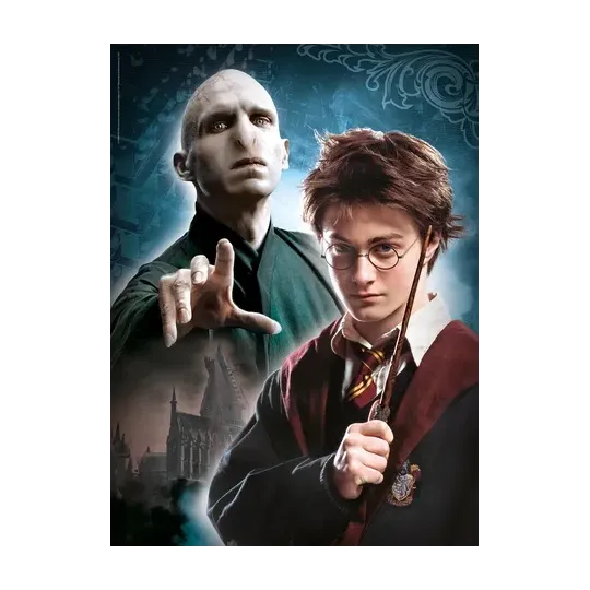 HARRY POTTER - Voldemort Harry - Puzzle 500P