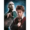 HARRY POTTER - Voldemort Harry - Puzzle 500P