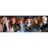 HARRY POTTER - Puzzle Panorama 1000P