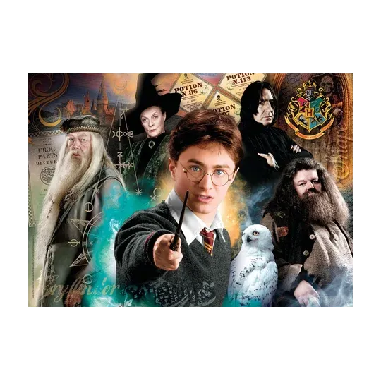 HARRY POTTER - Puzzle 500P