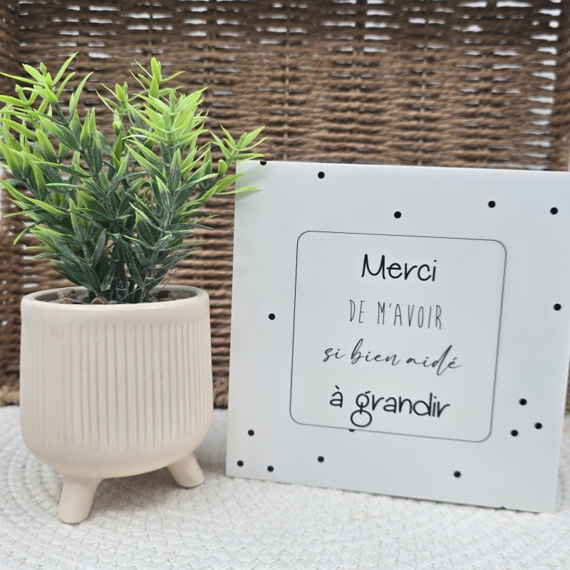 Cadre épais 15/15 "Merci de m'avoir si bien aidé à grandir"