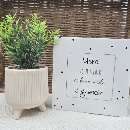 Cadre épais 15/15 "Merci de m'avoir si bien aidé à grandir"