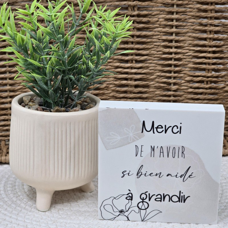Cadre épais 10/10  "Merci de m'avoir si bien aidé à grandir"