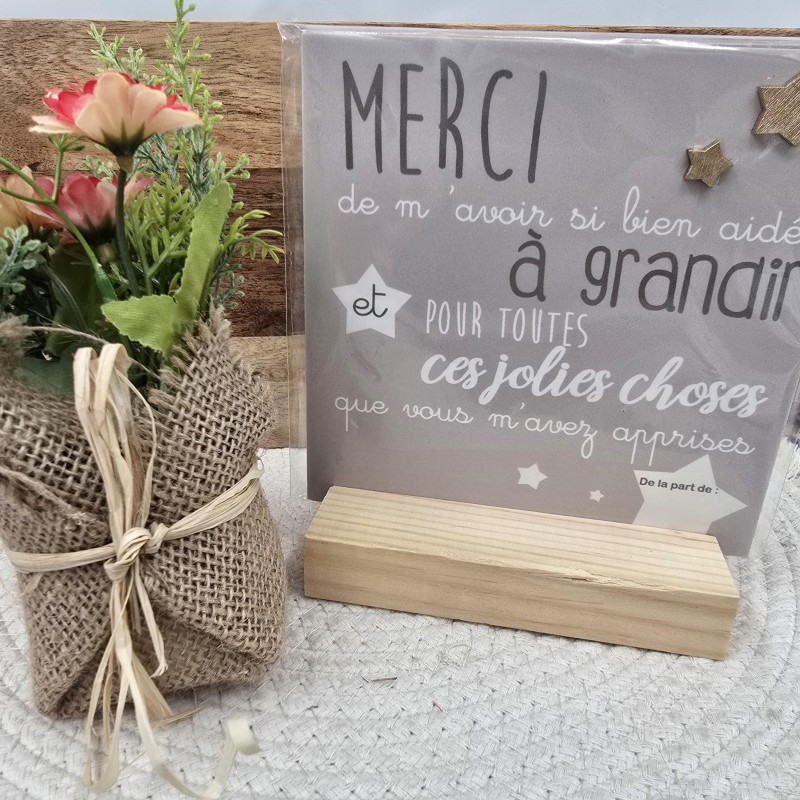 Cadre relief 15/15 "Merci de m'avoir si bien aidé à grandir"