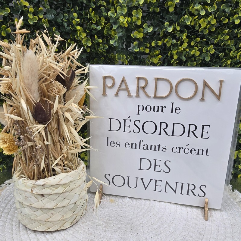 Cadre relief 20/20 "Pardon pour le désordre les enfants créent des souvenirs"