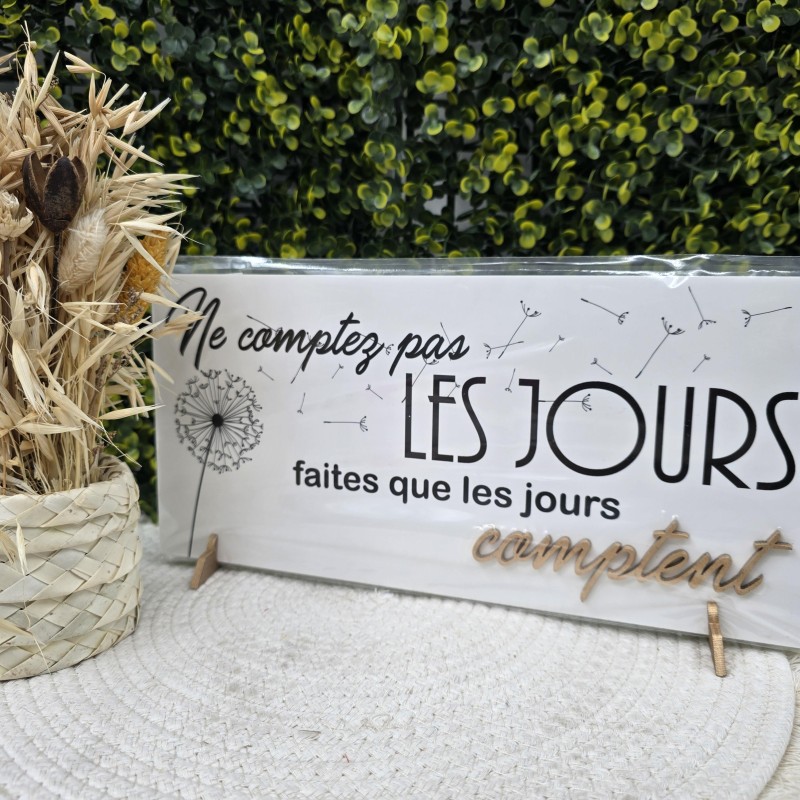 Cadre 15/30 "Ne comptez pas les jours faites que les jours comptent"