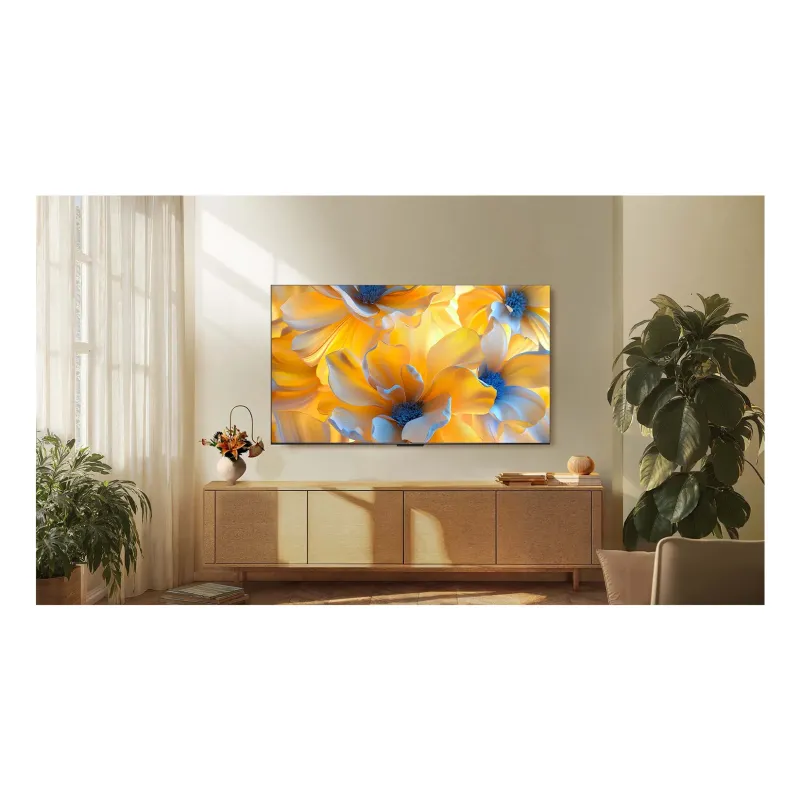 Nimestore TV MINILED 65C6K 5901292525798
