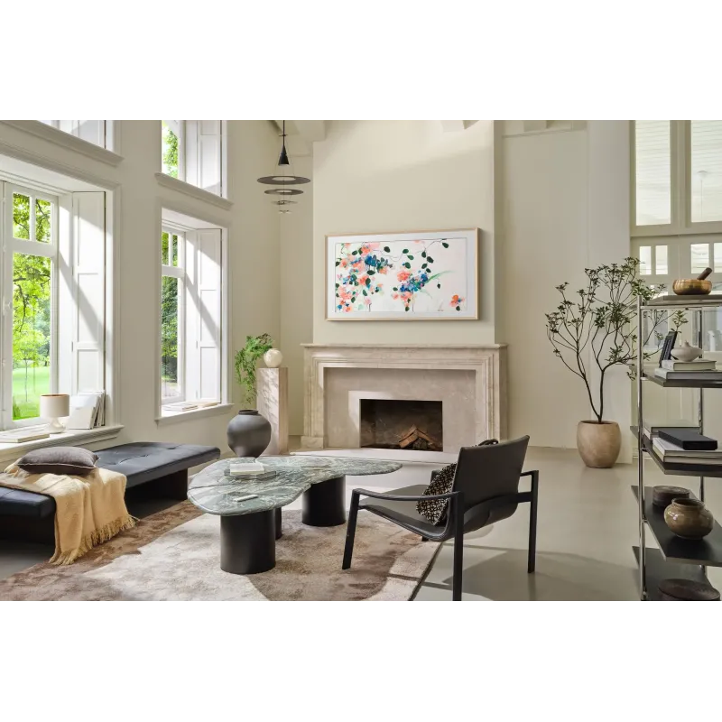 Nimestore TV THE FRAME PRO 65LS03FW 8806097124399