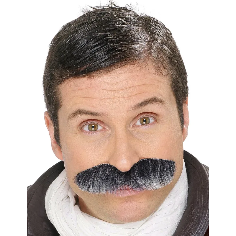 Moustache grisonnante adulte