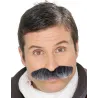 Moustache grisonnante adulte
