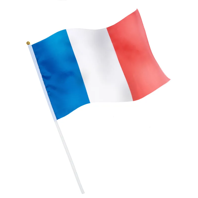 Drapeau de supporter France