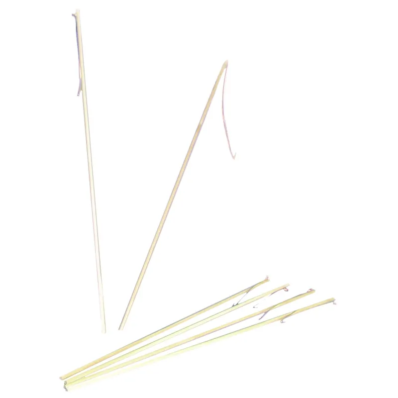 Baton lanterne
