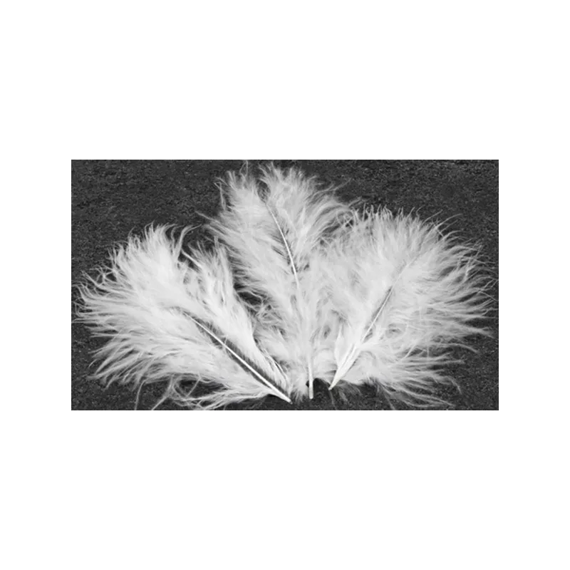 20 Plumes de décoration blanches 5