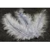 20 Plumes de décoration grises 5