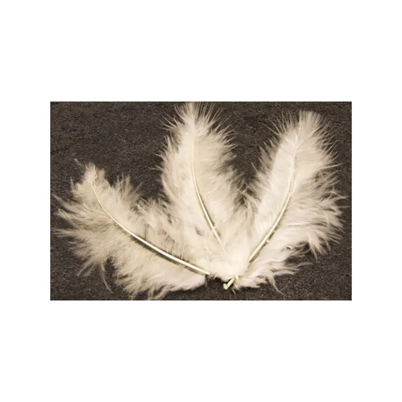 20 Plumes de décoration ivoire 5