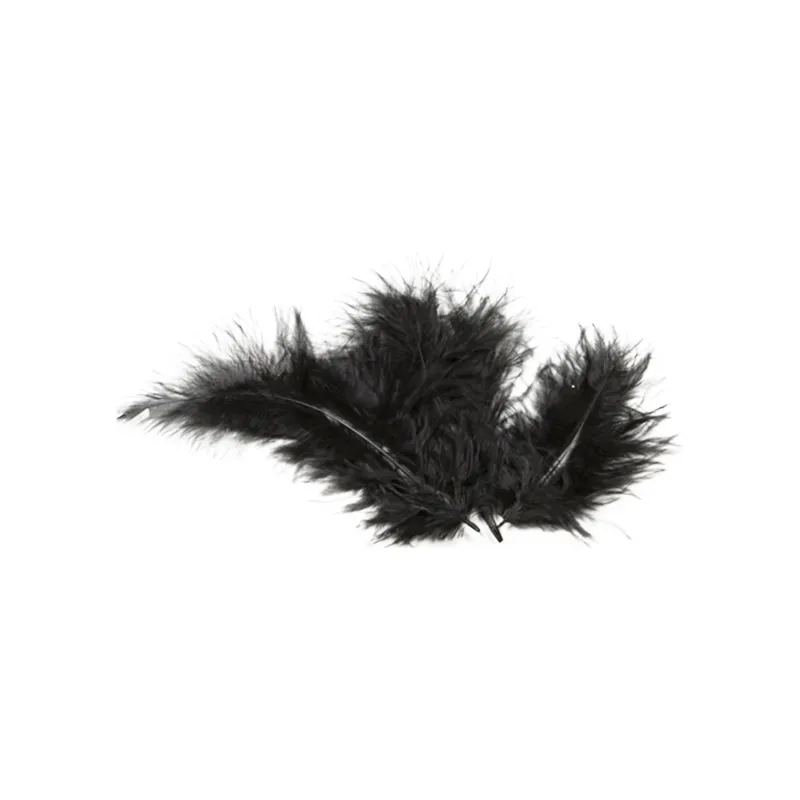 20 Plumes de décoration noires 5