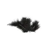 20 Plumes de décoration noires 5
