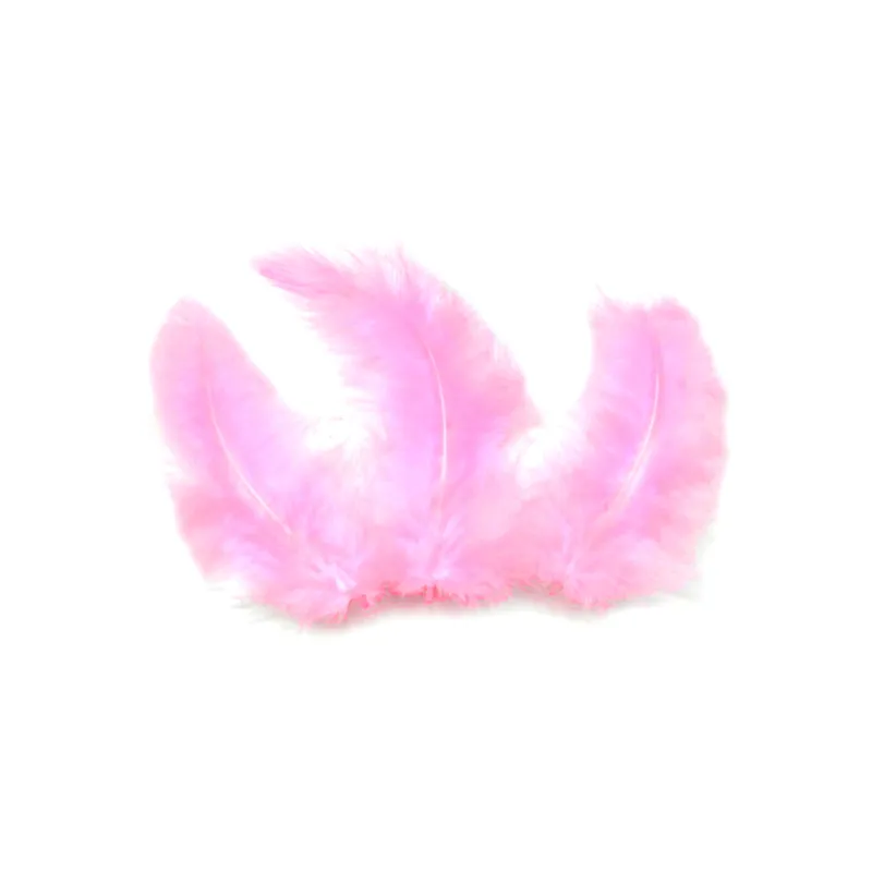 20 Plumes de décoration roses 5