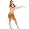 Kit déguisement Hawaï multicolore