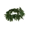 Bandeau feuilles tropicales