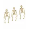 3 Petites décorations squelettes 12 cm