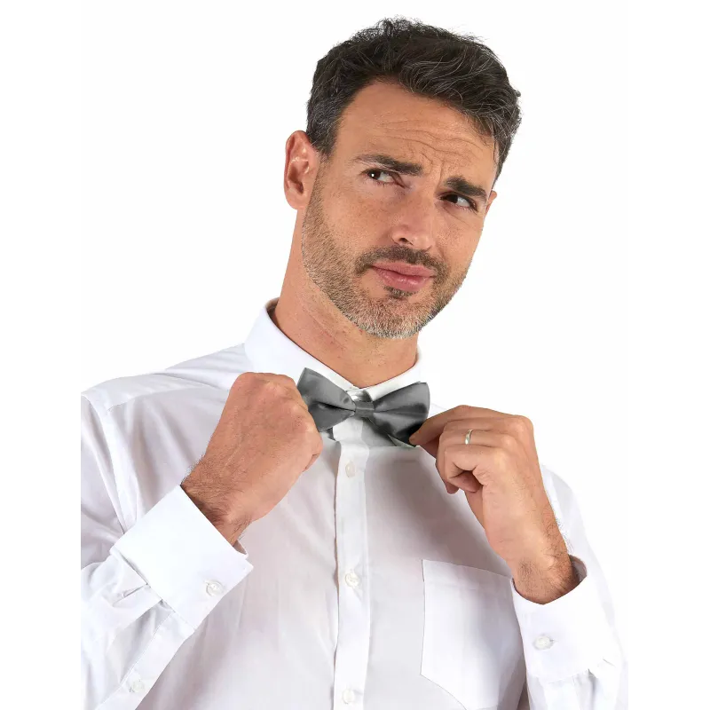 Noeud papillon argent adulte