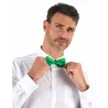 Noeud papillon vert adulte