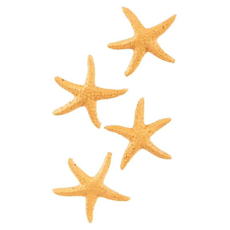 4 Etoiles de mer en résine 4